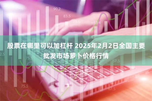 股票在哪里可以加杠杆 2025年2月2日全国主要批发市场萝卜价格行情