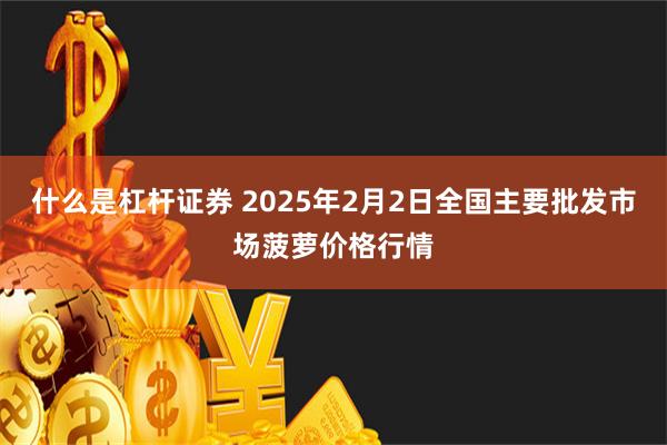 什么是杠杆证券 2025年2月2日全国主要批发市场菠萝价格行情